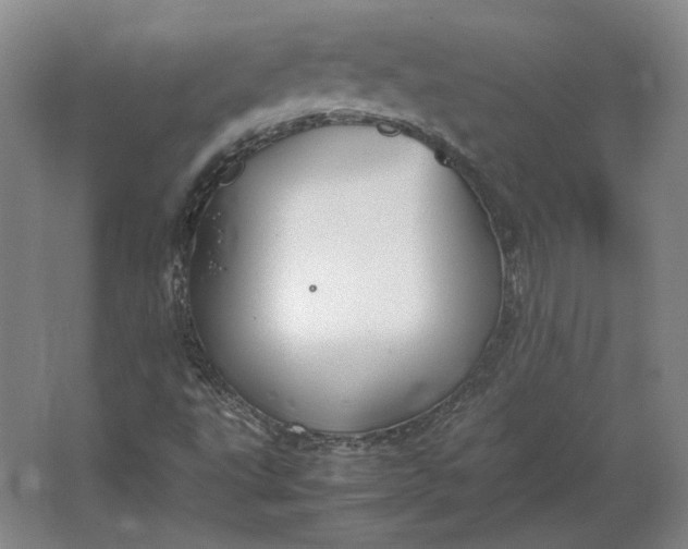 X0000062921495200601271751