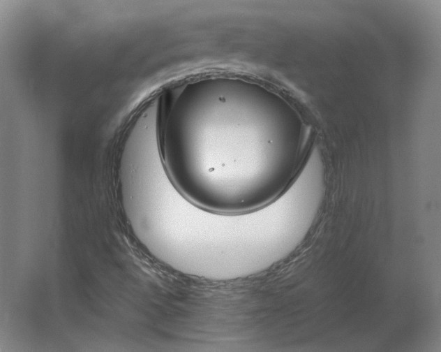 X0000062921496200601271751