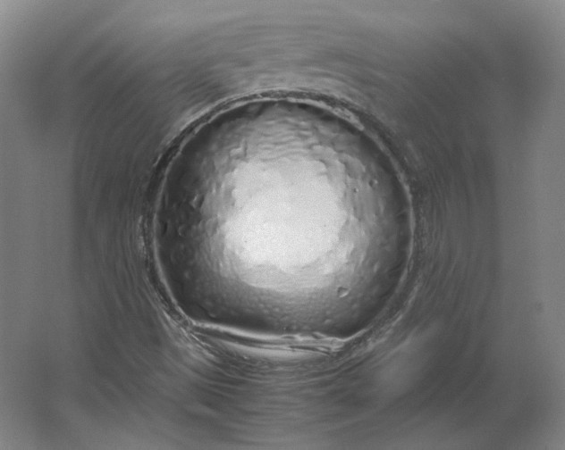 X0000062921497200601271751