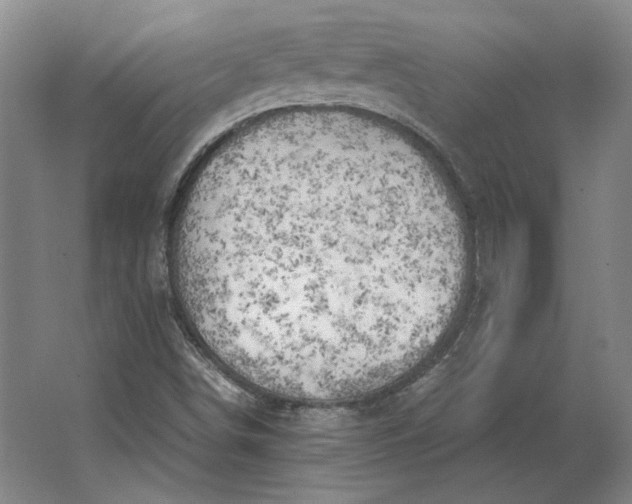 X0000062921498200601271752