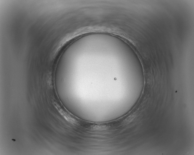 X0000062921499200601271752