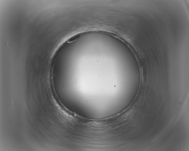 X0000062921500200601271752