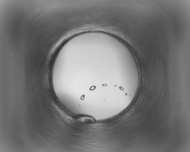 X0000062921502200601271752