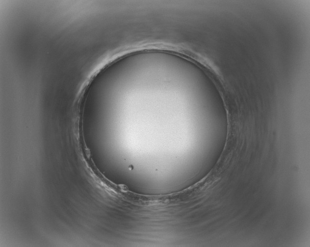 X0000062921504200601271752