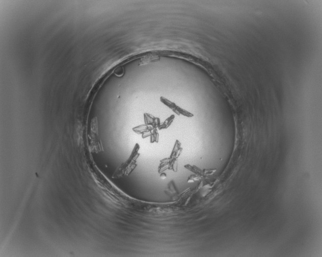 X0000062921505200601271752