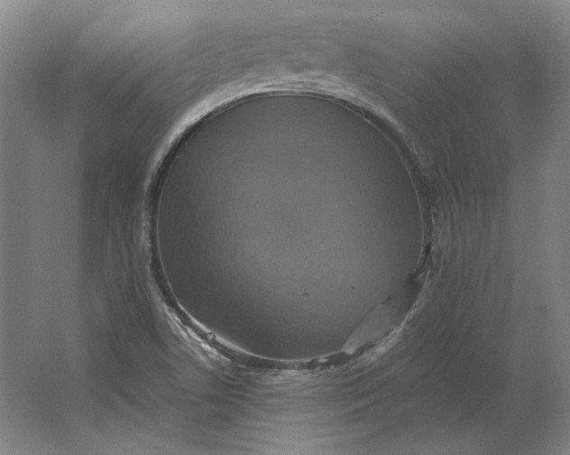 X0000062921506200601271752