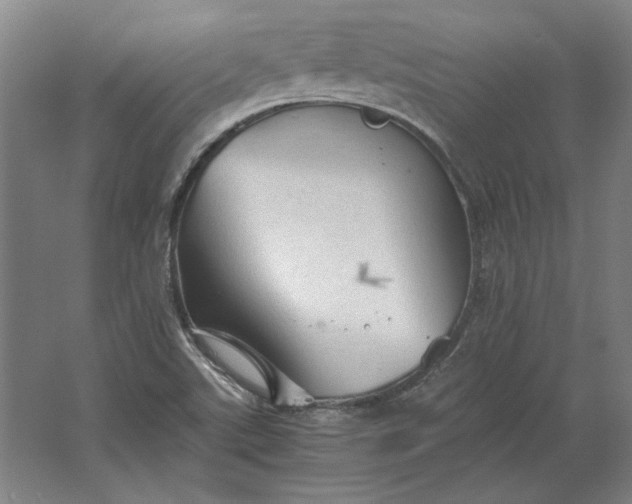 X0000062921507200601271752