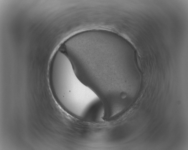 X0000062921508200601271752