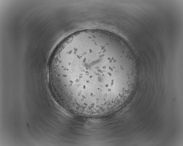 X0000062921509200601271752