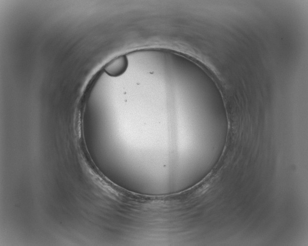 X0000062921510200601271752