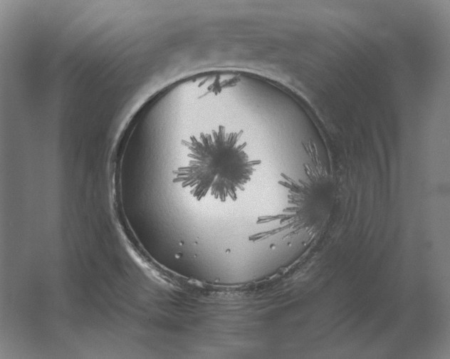 X0000062921511200601271752