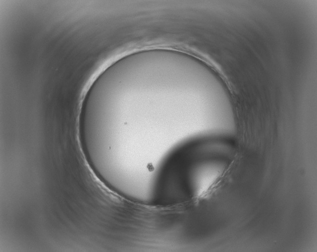 X0000062921512200601271752