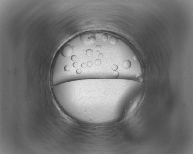 X0000062921513200601271752