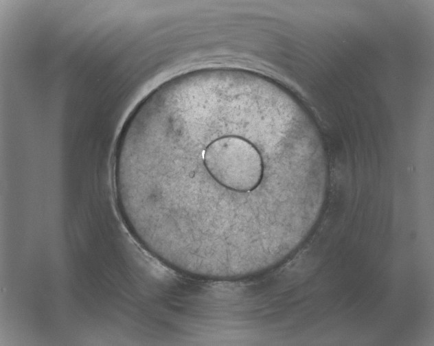 X0000062921514200601271752