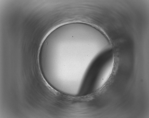 X0000062921516200601271752