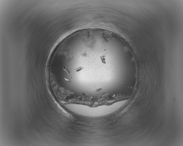 X0000062921517200601271752