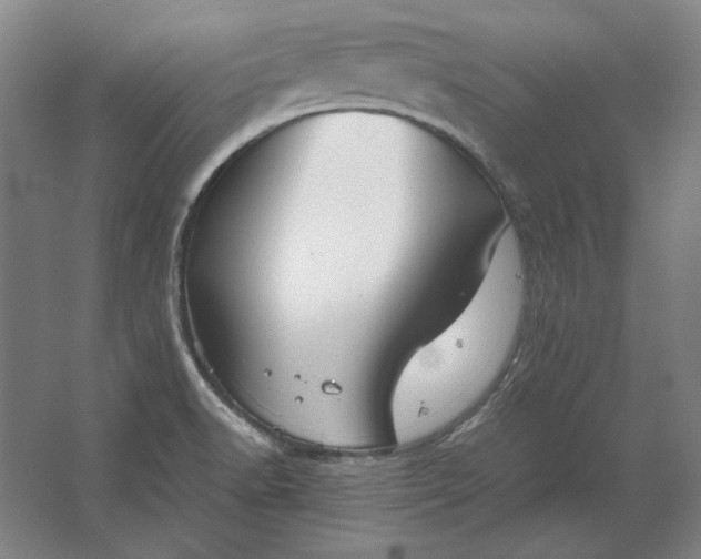 X0000062921518200601271752