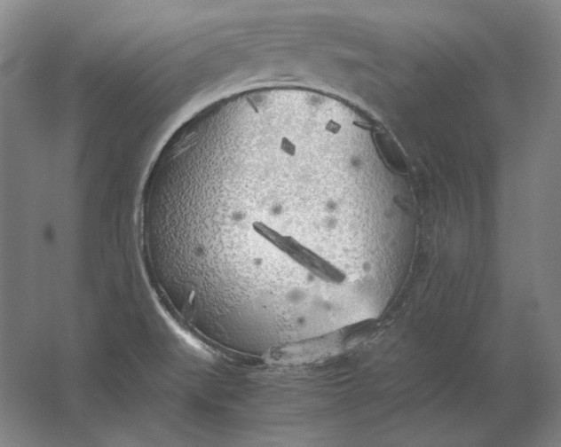 X0000062921519200601271752