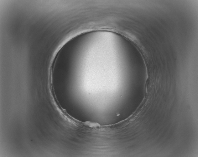 X0000062921520200601271752