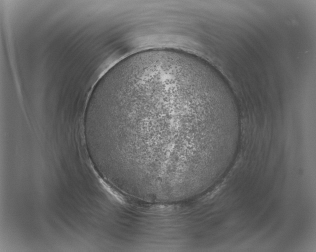 X0000062921521200601271752