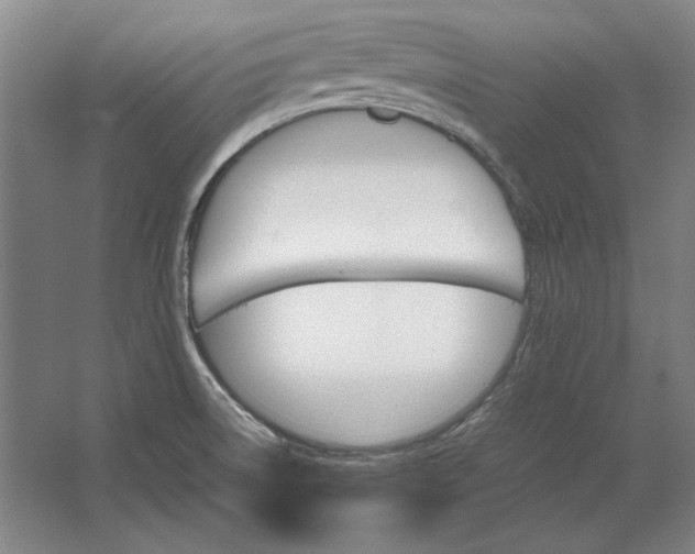 X0000062921522200601271752