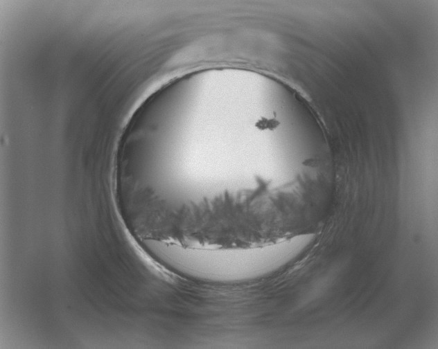 X0000062921523200601271752