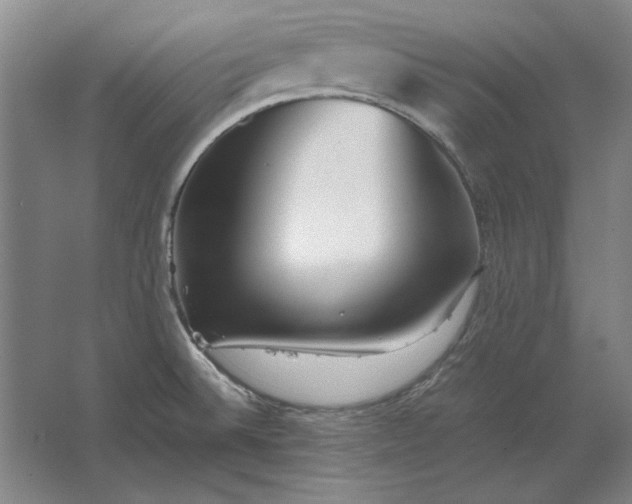 X0000062921524200601271752