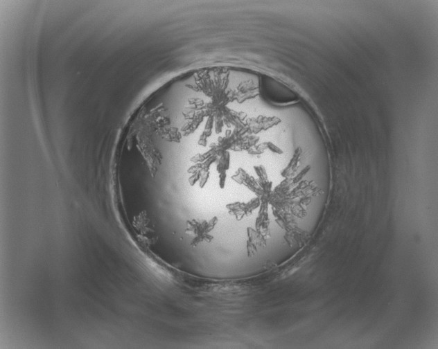 X0000062921525200601271752