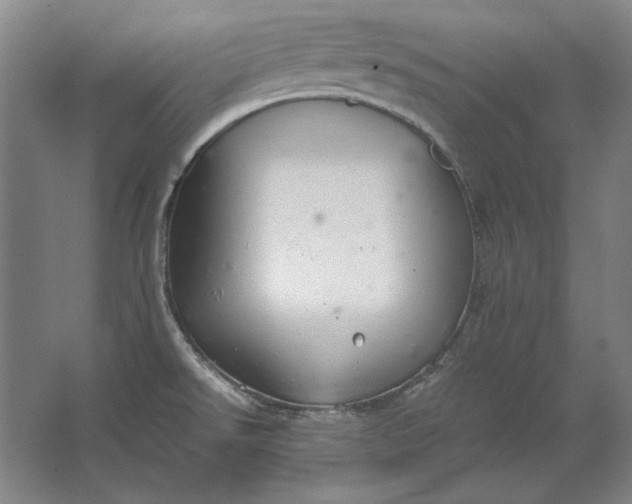 X0000062921526200601271752