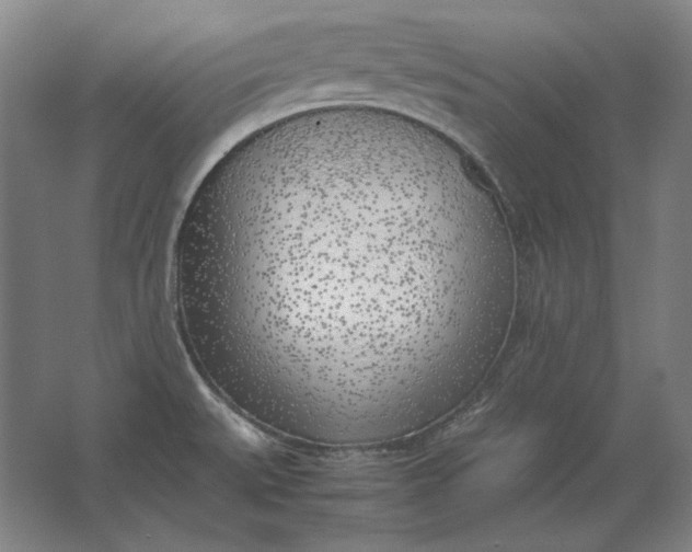 X0000062921527200601271752