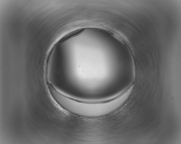 X0000062921528200601271752