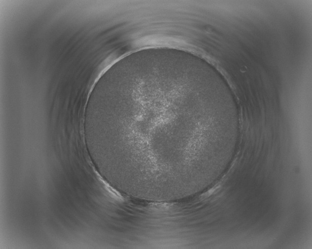 X0000062921529200601271752