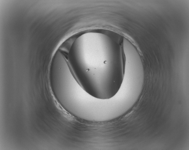 X0000062921530200601271752