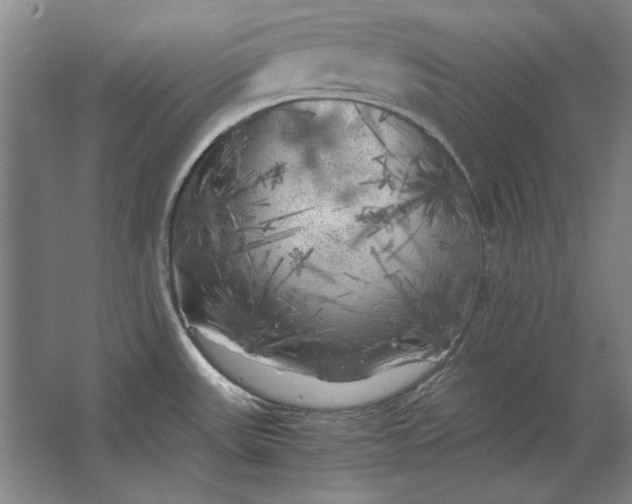 X0000062921531200601271752