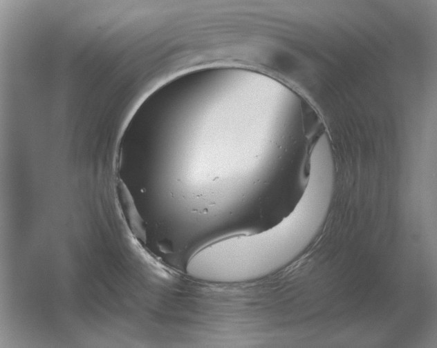 X0000062921532200601271752