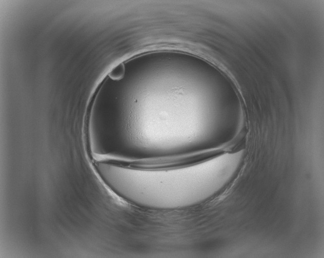 X0000062921533200601271752