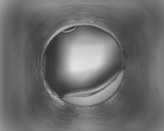 X0000062921534200601271752