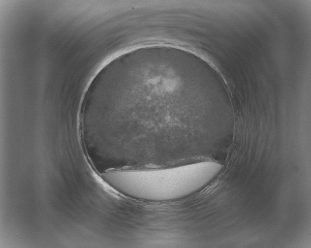 X0000062921535200601271752