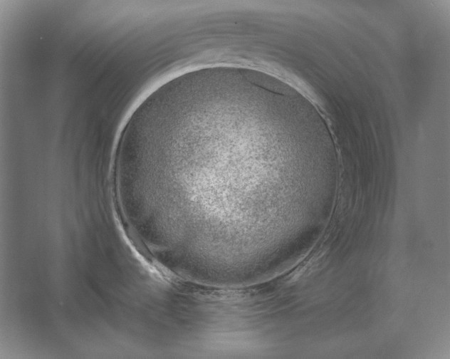 X0000062921536200601271752