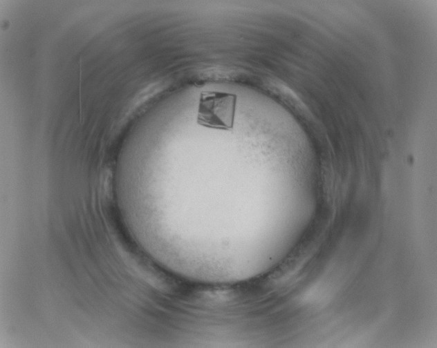 X0000062920071200602031932