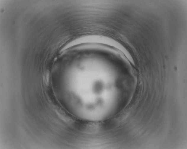 X0000062920076200602031932