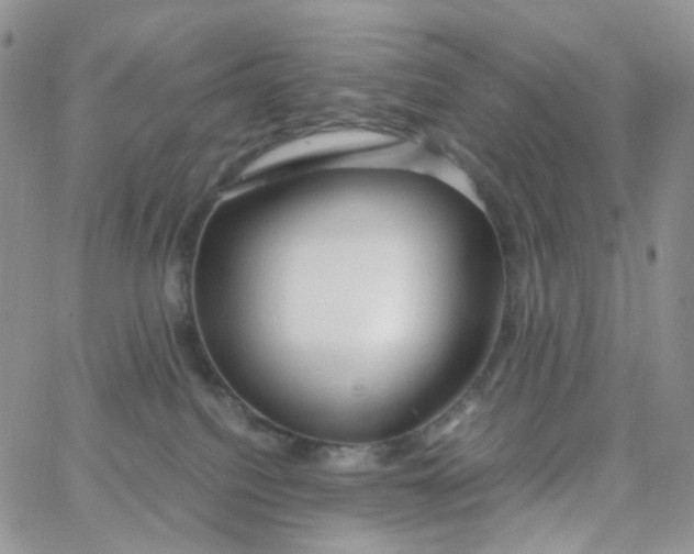 X0000062920088200602031932