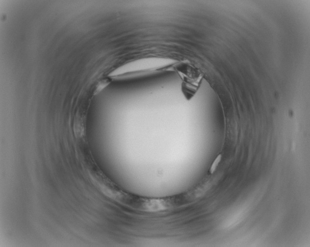 X0000062920091200602031933