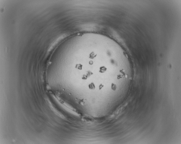 X0000062920106200602031932