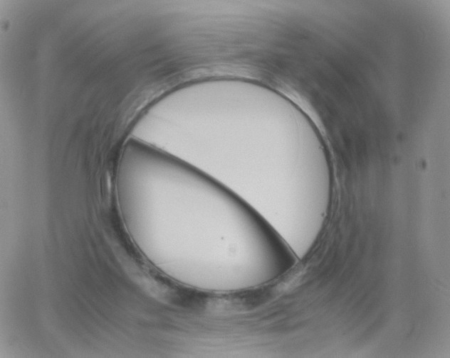 X0000062920109200602031932