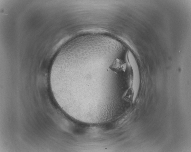 X0000062920111200602031932