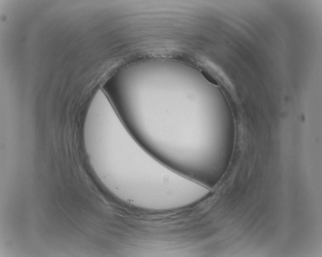 X0000062920113200602031932