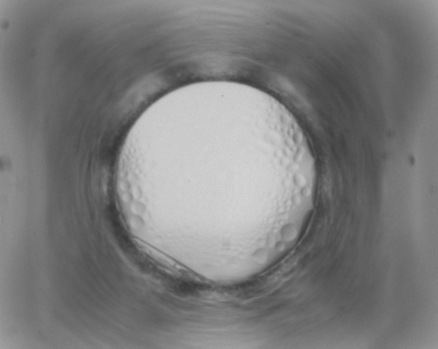 X0000062920115200602031932