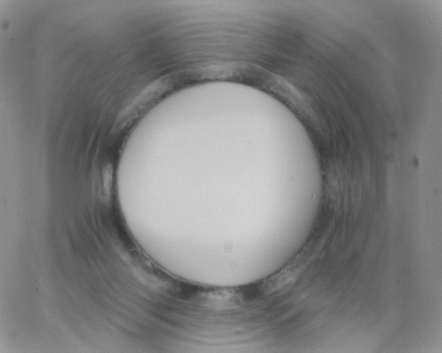 X0000062920118200602031932