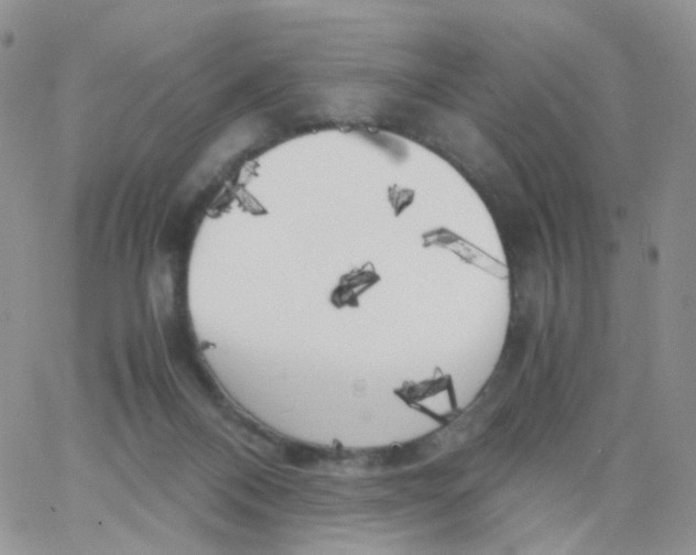 X0000062920120200602031931